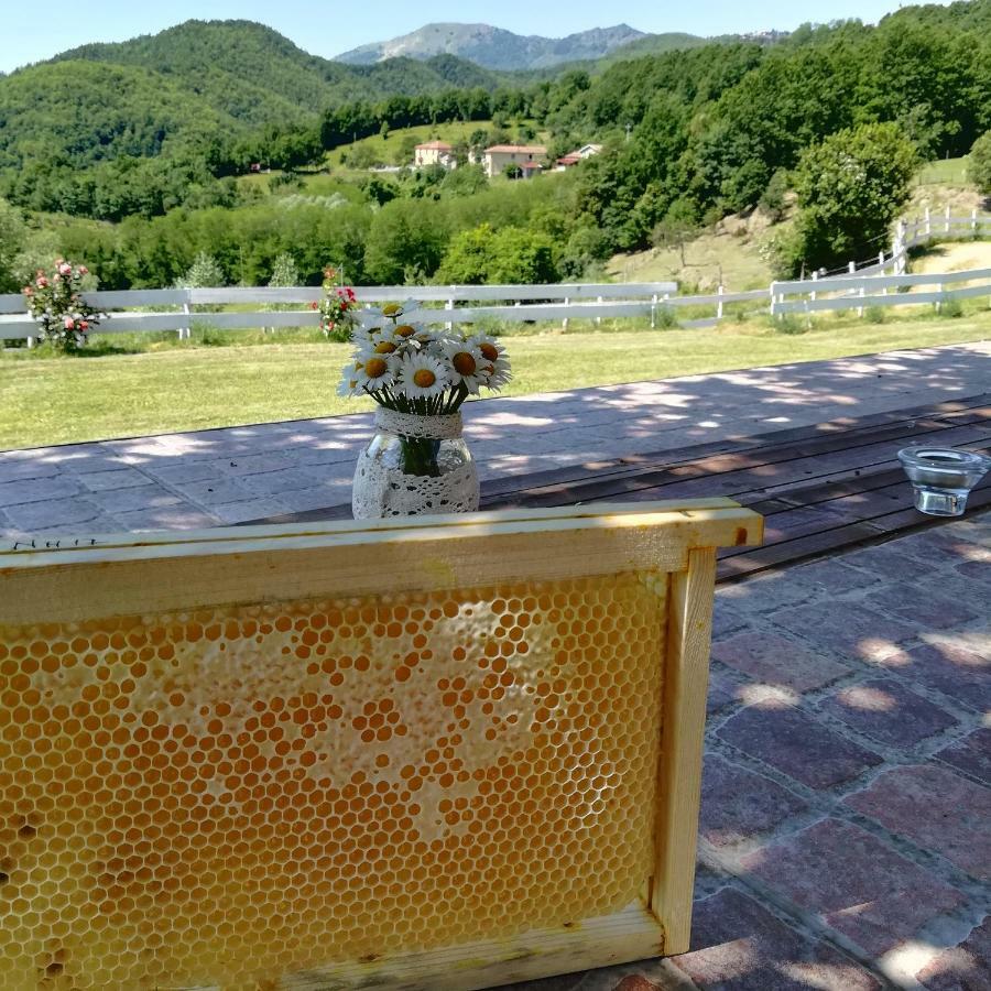 Agriturismo Dei Legi San Pietro Vara Buitenkant foto
